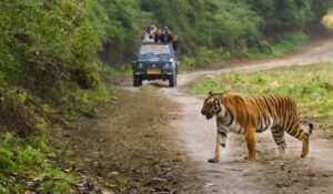 Wants to Explore Jim Corbett On Foot? Here’s How To Go About It