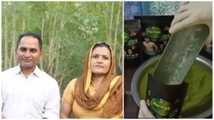 TCS engineer and Wife Ditches City Life for Organic Moringa Farming, Earns Rs 10 Lakh Per Acre