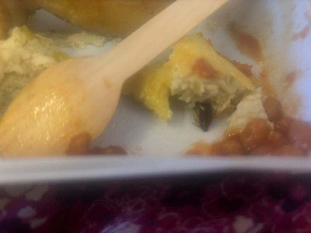 Air India Passenger Suffers Food Poisoning; Cockroach Found in Meal Served on New York-Bound Flight