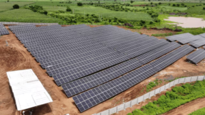 Maharashtra's First 3MW Solar Park Powers Over 1,700 Farmers' Pumps