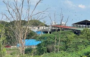 Pune News: Sopanbaug, Udaybaug Residents Demand Urgent Action On Toxic Odour From Hadapsar Waste Plant