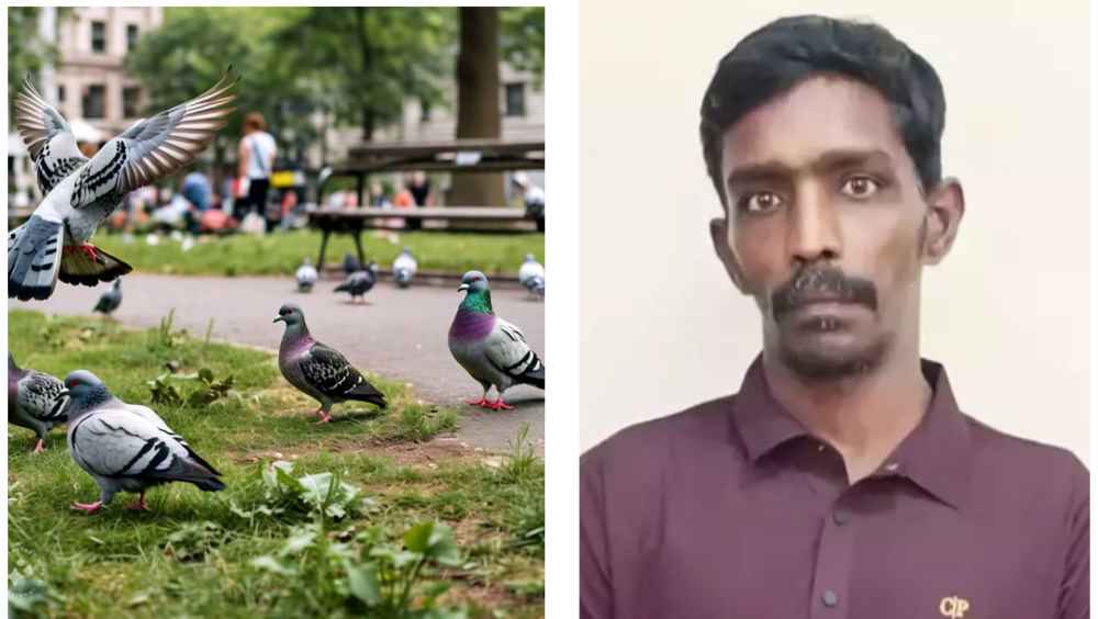 Clever Burglar Arrested After Using Pigeons as His Lookouts in Home Raids