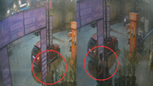 Caught on Camera Woman in BMW steals flower pot in Noida