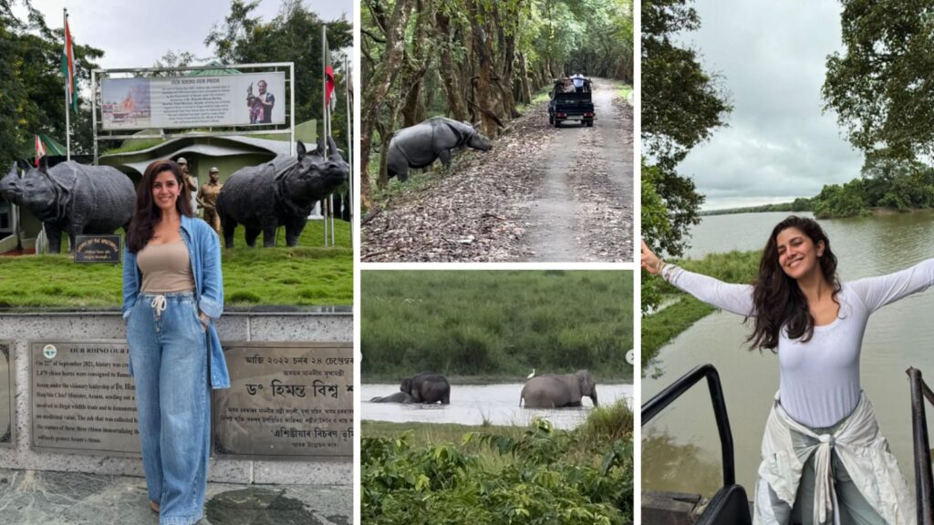 Discover Kaziranga National Park Tips Inspired by Nimrat Kaur's Adventure