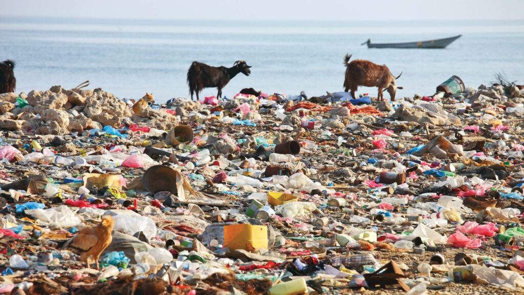 Say No to Plastic 10 Easy Steps to Reduce Waste and Protect Our Planet
