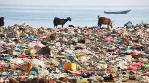 Say No to Plastic 10 Easy Steps to Reduce Waste and Protect Our Planet