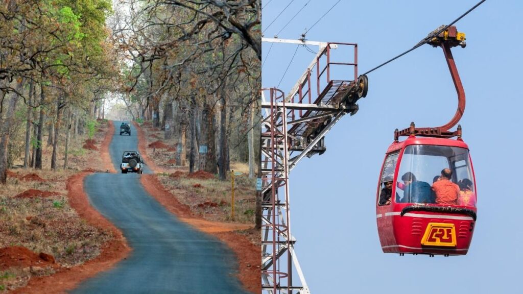 Tadoba National Park to Launch World’s First Ropeway Safari for Aerial Wildlife Viewing1