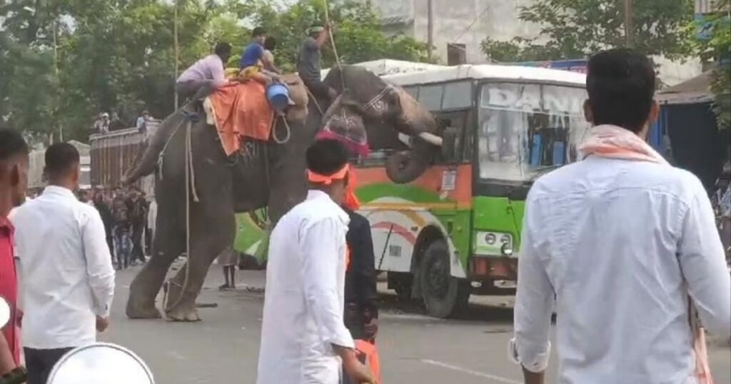 Watch Elephant Rampage Causes Chaos During Procession in Bihar's Chapra, Destroys Vehicles