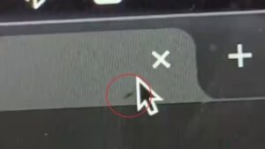 Viral Video: Ant Crawling Inside Laptop Screen  