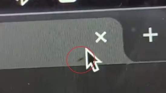 Viral Video: Ant Crawling Inside Laptop Screen  
