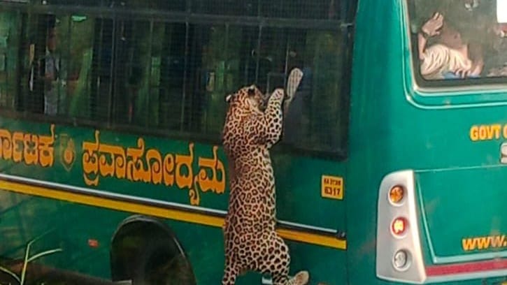 WhatsApp Image 2024-10-07 at 8.35.13 PM