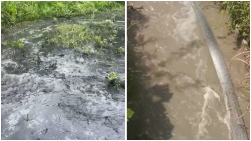 Pune News: Bebadohol Gram Panchayat raises serious concerns over Ganga Paper Mill’s Pollution causing damage to farmlands, seeks help from NGT
