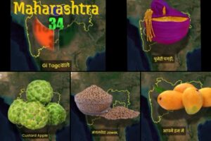 Explore Maharashtra's Rich Heritage: From Paithani Sarees to Hapus Mangoes