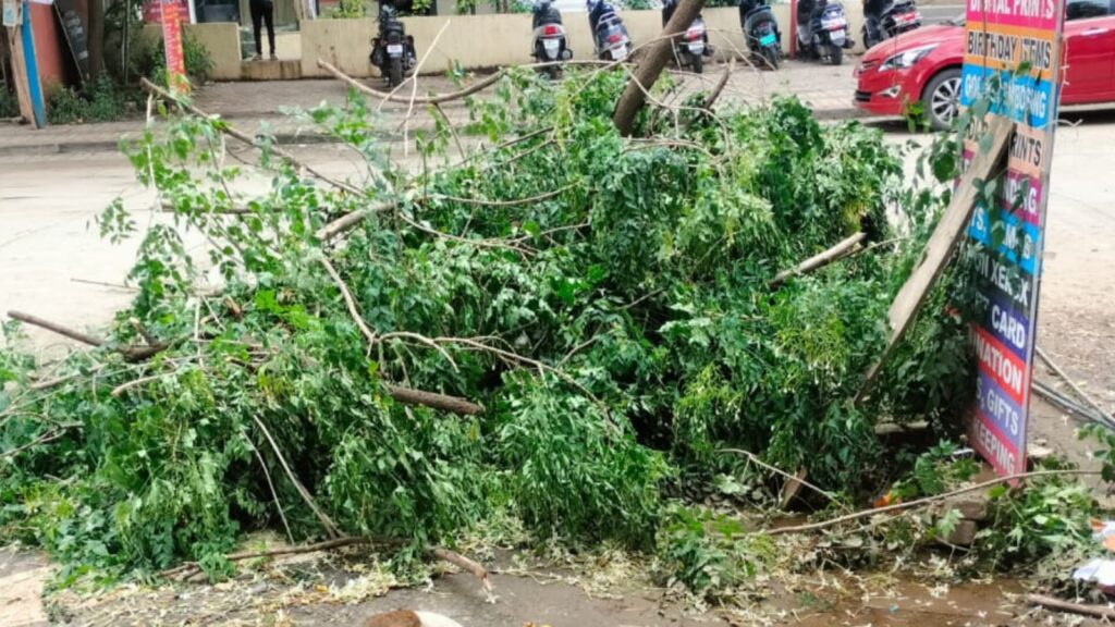 Pune News: Urgent Appeal For Action Against Illegal Tree Cutting Near Ganga Kingston In NIBM Annexe Area