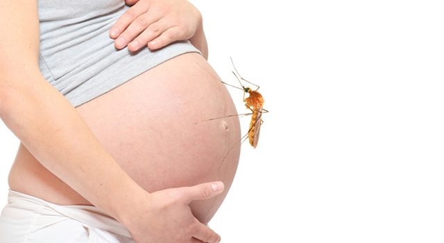 Pune News: 10 Healthy Babies Born Amid Zika Affected Patients: PMC Reports Positive Outcomes for Infected Pregnant Women