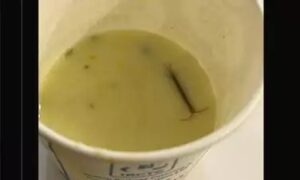 Delhi Man Finds Live Centipede In IRCTC Lounge Meal, Sparks Food Safety Concerns