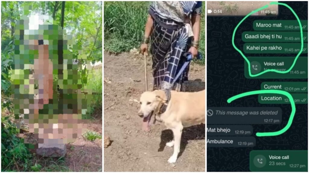 Pune Tragedy: Dog Allegedly Beaten And Hanged To Death By Owner In Pirangut 