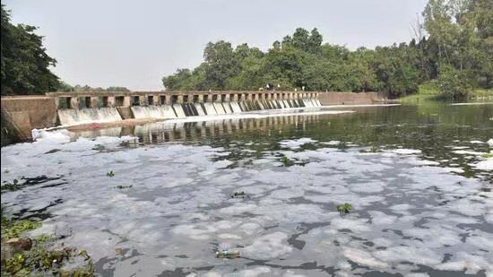 Pune News: Maharashtra Pollution Control Board Cracks Down On Ranjangaon MIDC Over Water Pollution