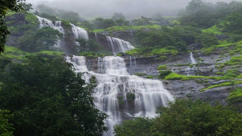 Pune News: Tamhini Ghat Records 2,000 mm Rainfall in June, Surpasses Maharashtra’s Wettest Regions