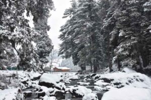 First Snowfall Transforms Kashmir Into A Winter Wonderland, But Shuts Key Routes For Travelers