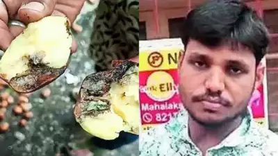 Bengaluru Pani Puri Vendor Caught with Expired Potatoes and Unsafe Water