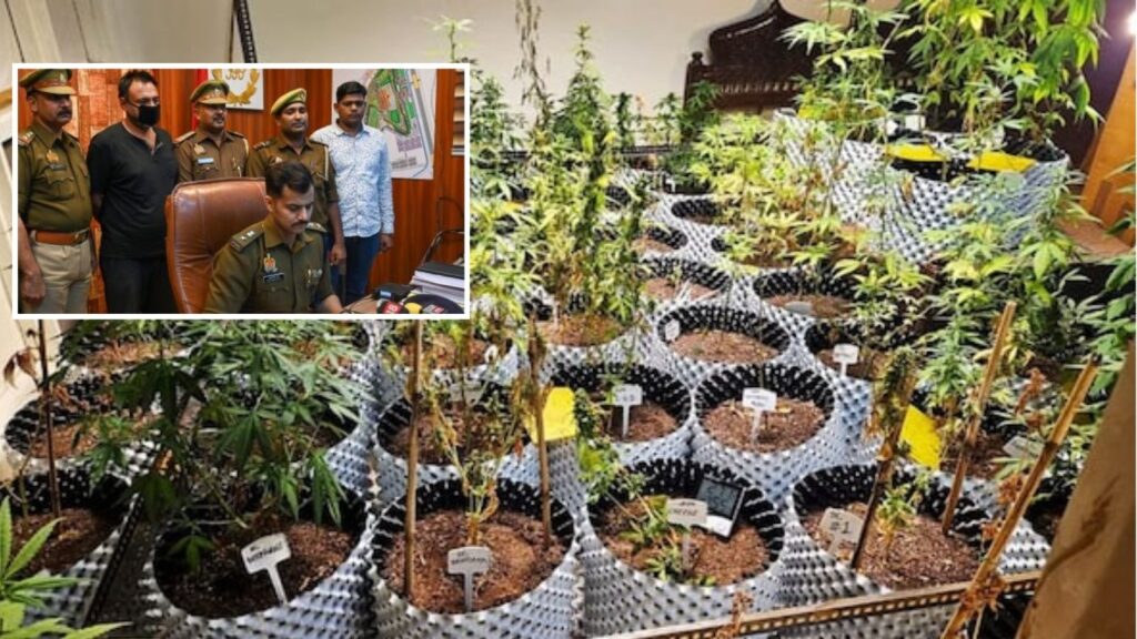 Greater Noida Man Cultivates Cannabis in Apartment, Sells Online via Dark Web