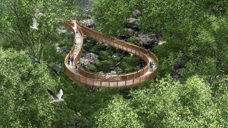 Mumbai to Unveil Its First Elevated Forest Walkway at Malabar Hill soon