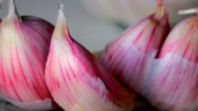 Pink Garlic Legacy A 200-Year Tradition Thrives in Vasai Amid Challenges