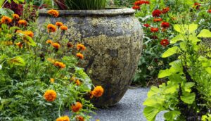 Plant These Mosquito-Repelling Plants to Keep Your Home Pest-Free Naturally