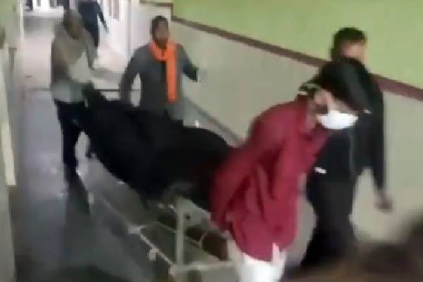Rajasthan Man Declared Dead Found Breathing During Cremation, Three Doctors Suspended