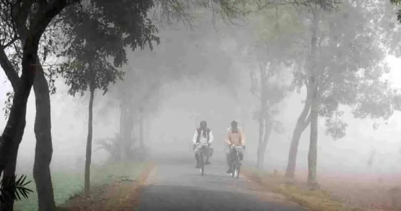 Weather Update: Pune To Experience Cooler Weather In Coming Days, Temperature Drops To 12°C