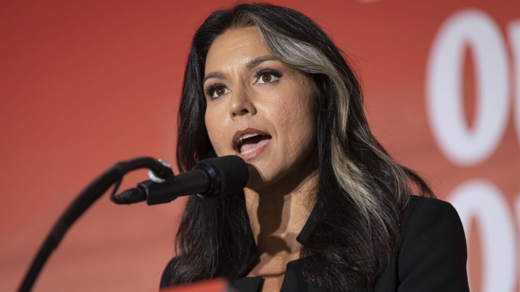 Who is Tulsi Gabbard, the Hindu candidate selected by Donald Trump as director of national intelligence?