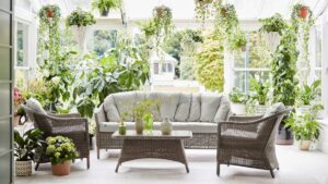 23 Best Indoor Hanging Plants to Elevate Your Home Décor with Minimal Upkeep