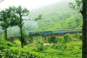 As December Unfolds: Top Destinations to Explore in South India This Winter
