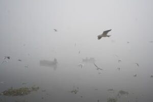 Delhi Chokes As AQI Hits 'Severe Plus' Category, Visibility Drops To 100 meter