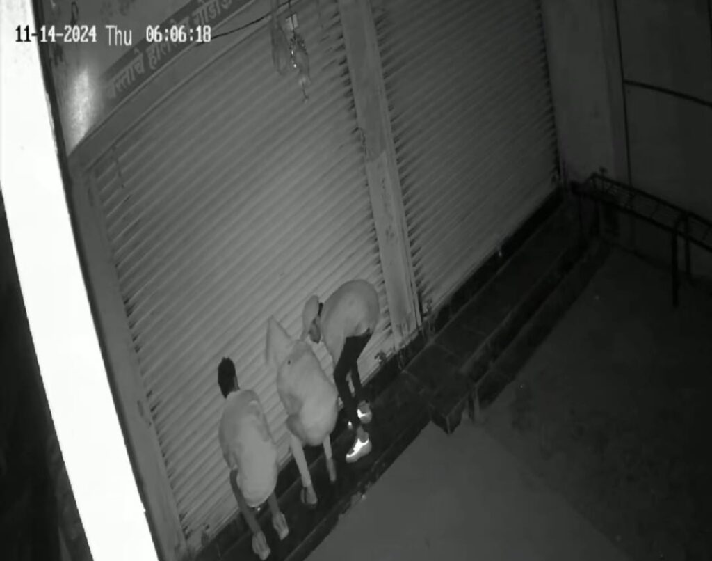 Pune: Thieves Steal ₹3.8 Lakh From Cloth Shop In Kesnand: Crime Caught On CCTV 
