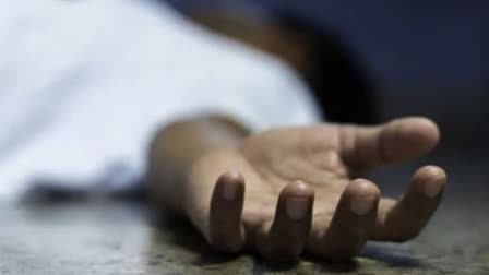 Shocking Discovery: Body Of 35-Year-Old Woman Found In Bushes Along Pune-Mumbai Highway