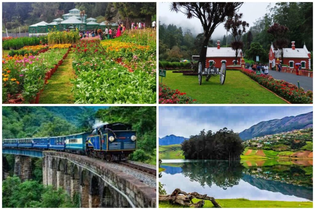 Must-Visit Ooty Attractions This Winter: Botanical Gardens, Ooty Lake, Nilgiri Railway, and Beyond