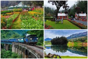 Must-Visit Ooty Attractions This Winter: Botanical Gardens, Ooty Lake, Nilgiri Railway, and Beyond
