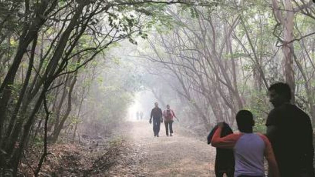 Pune Shivers: Single-Digit Temperature at 8.9°C, Cooler Than Many Hill Stations