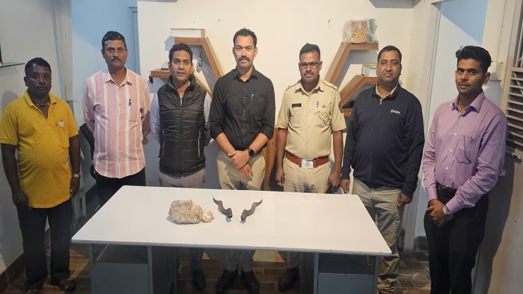 Pune: Two Arrested In Katraj For Smuggling Whale Vomit And Chinkara Antlers, Police Custody Till December 2