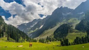 Breathe Easy: Head to These 8 Hill Stations in India to Escape Poor AQI Levels in Mumbai and Delhi