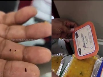 Insect Discovered in Sambar on Vande Bharat Express, Railways Imposes Rs 50,000 Fine on Caterer.