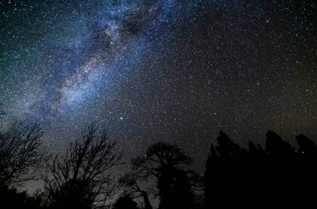 Pench Tiger Reserve: Maharashtra’s Gateway to the Stars and India’s First Dark Sky Park