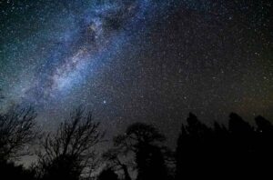 Pench Tiger Reserve: Maharashtra’s Gateway to the Stars and India’s First Dark Sky Park