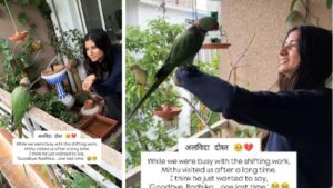 Abhi na Jao Pune Woman's Teary Eyed Emotional Farewell to Parrot Goes Viral