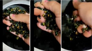 Claim in Viral Video 'Cancer Waali Dal'! Toxic Dye Found in Black Lentils Sold in Himachal Pradesh Sparks Health Concerns