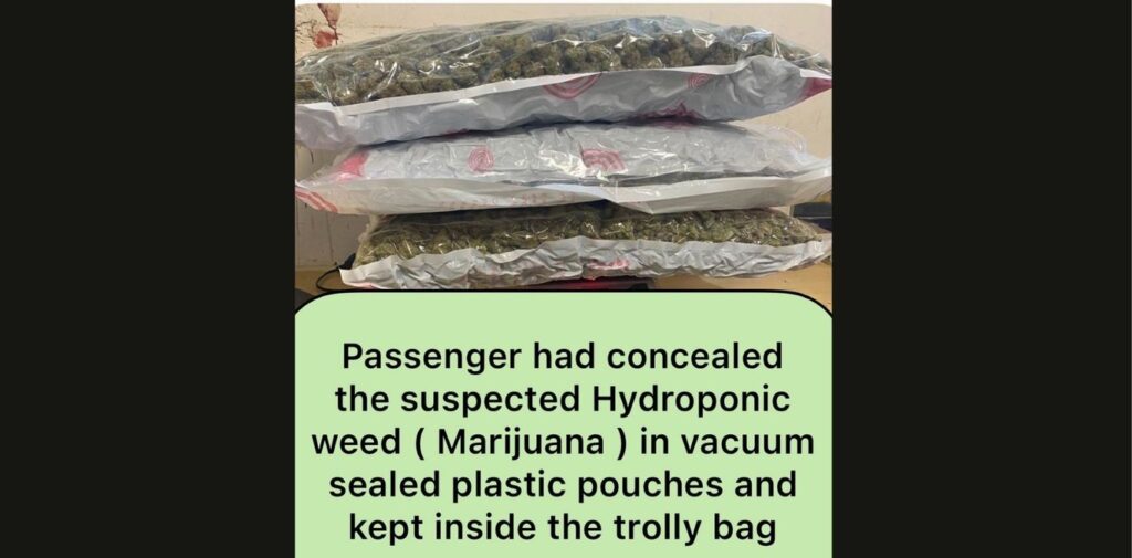 Customs Officers Seize 11.322 Kgs of Hydroponic Weed Worth ₹11.322 Crores at Mumbai Airport