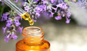 Essential Oils A Natural Solution to Prevent Mosquito Bites