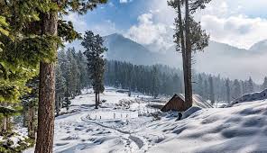 Flights Canceled and Roads Blocked as Kashmir Faces Heavy Snowfall and Traffic Woes